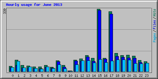 Hourly usage for June 2013